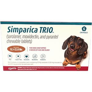 Rx Simparica Trio carmel 11.1-22lbs
